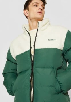 Aspen Bubble Jacket Unisex - Winterjas - Dkgreen 13 Aspen Bubble Jacket Unisex - Winterjas - Dkgreen -Selecteer Dameswinkels 27b56997578e4a7ba5884663a9e20e7b