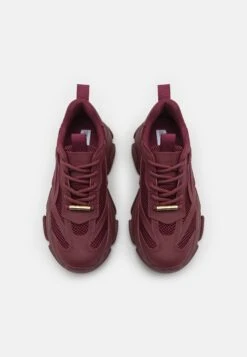 Steve Madden Possession - Sneakers Laag - Wine -Selecteer Dameswinkels b023863af28f4f4aab1677ac3717a836